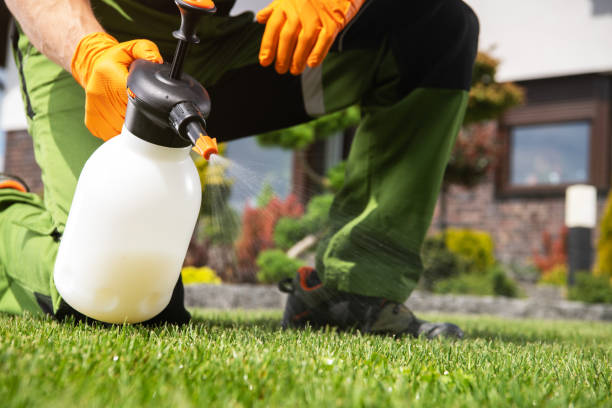Best Insect Control  in Scenic Oaks, TX