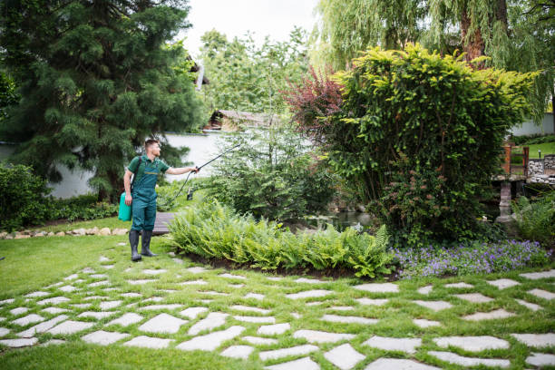 Best Affordable Pest Control Services  in Scenic Oaks, TX