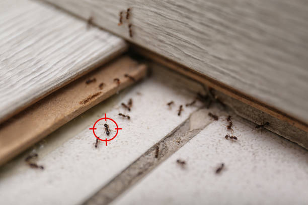 Best Wildlife Control Services  in Scenic Oaks, TX