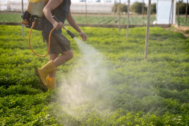 Best Best Pest Control Companies  in Scenic Oaks, TX