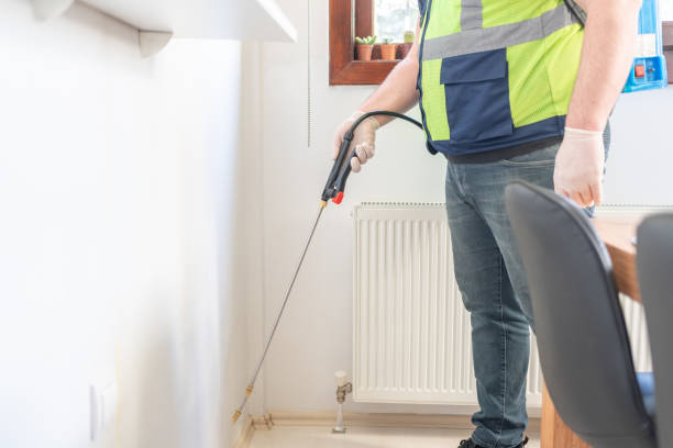 Best Flea Control Services  in Scenic Oaks, TX