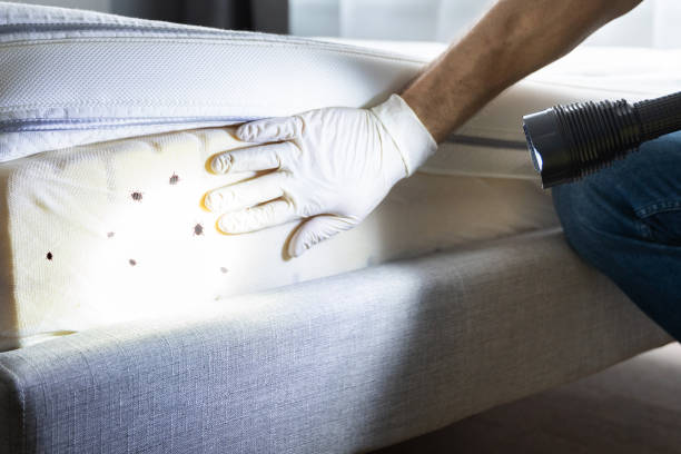 Best Best Pest Control Companies  in Scenic Oaks, TX